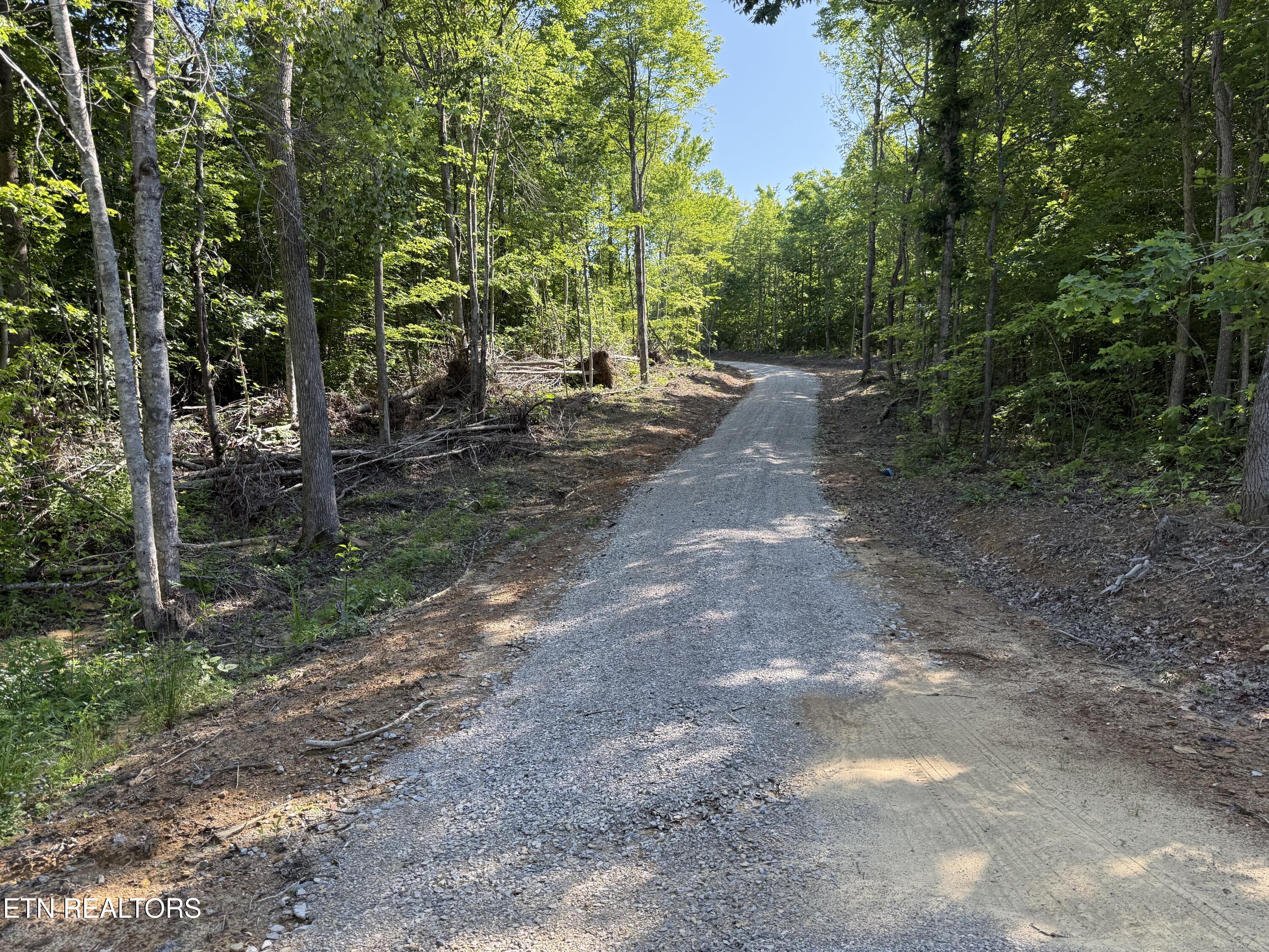 969 Lewallen Road Sunbright, TN 37872 - Photo 13 of 21 IMG_4312