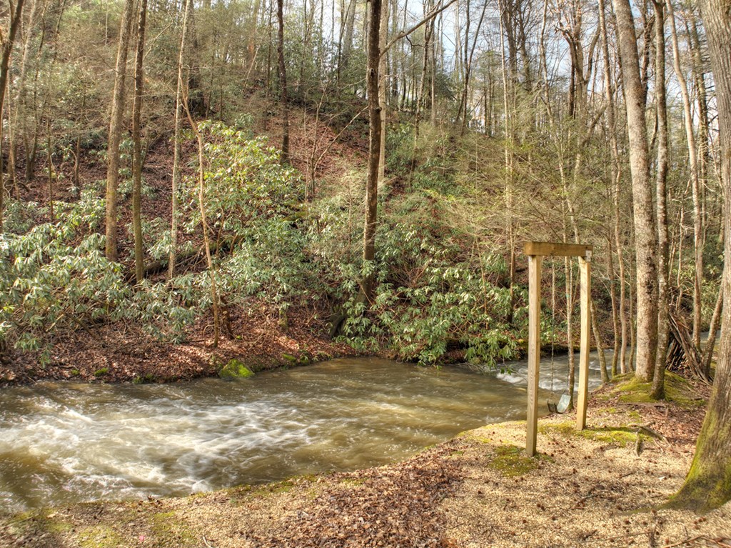 706 Laurel Ridge Drive Blue Ridge, GA 30513 - Photo 82 of 93 Gallery Image 82