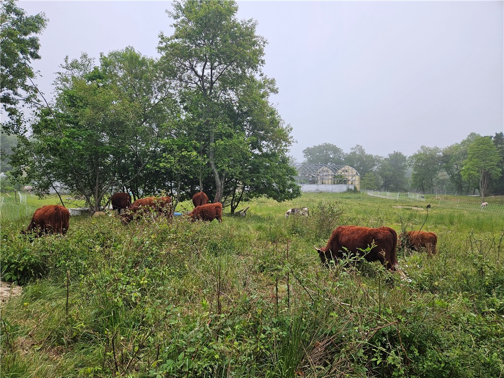 241 Cornell Road Tiverton, RI 02878 - Photo 43 of 47