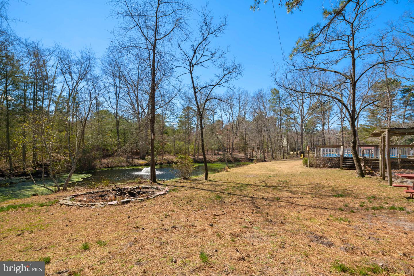 150 Patty Bowker Road Tabernacle, NJ 08088 - Photo 36 of 40 Rear Yard with Pond