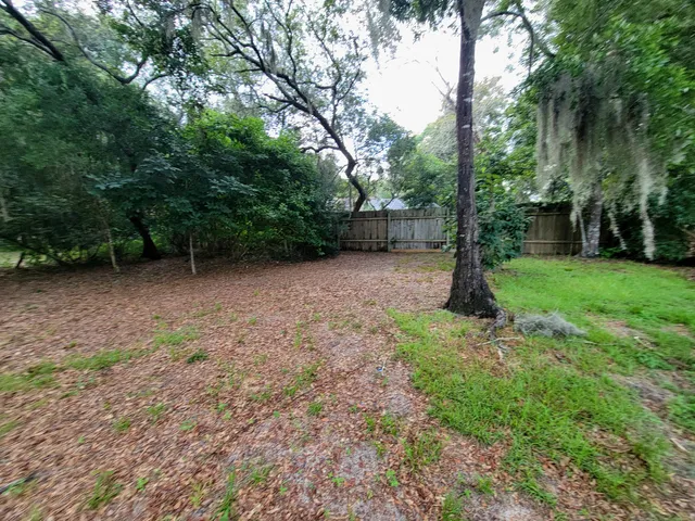 a view of a backyard with trees