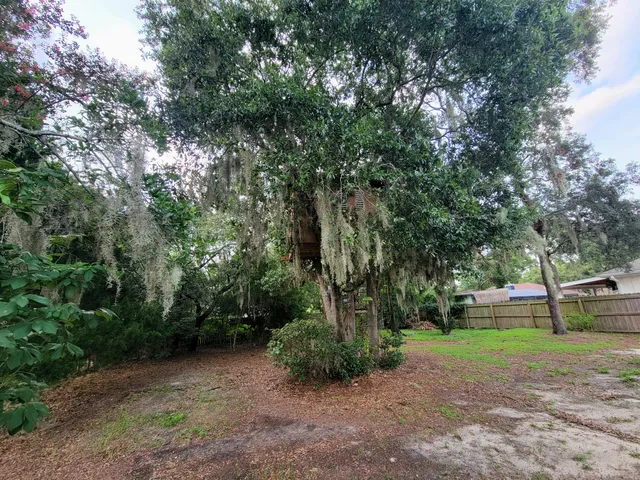 a view of a park with tree s