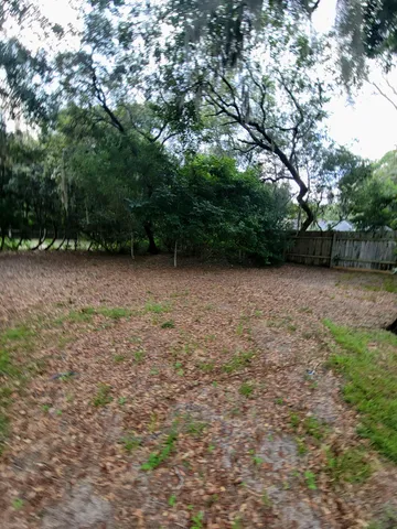 a view of yard with trees