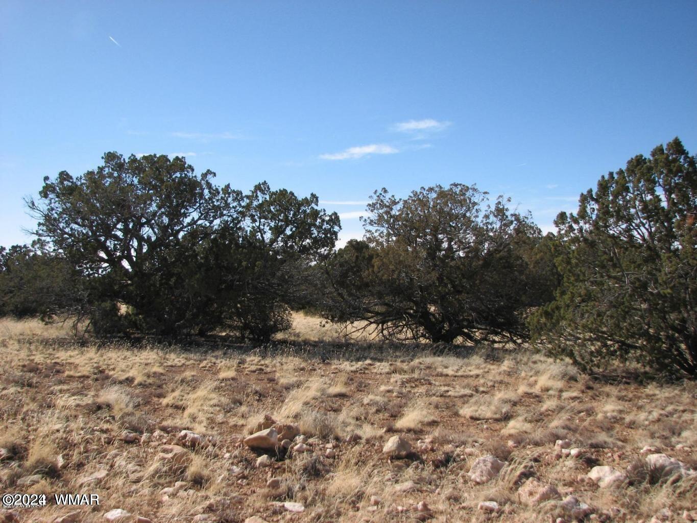 31 T15n R16e:sw4 Ne4 Heber, AZ 85928 - Photo 2 of 2 2