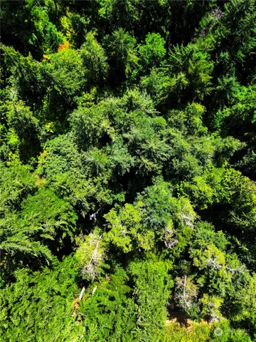 $15,000 | 12212 Sound Drive, Anderson Island, WA 98303