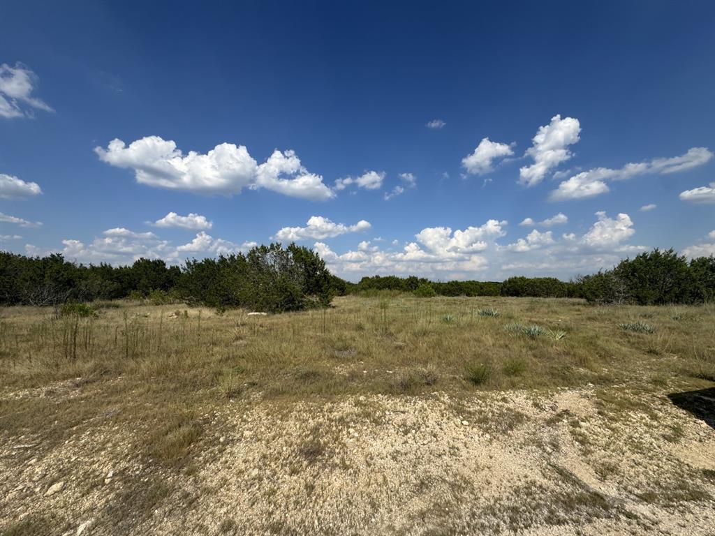 1096 Creek Crossing Road Nemo, TX 76070 - Photo 11 of 16