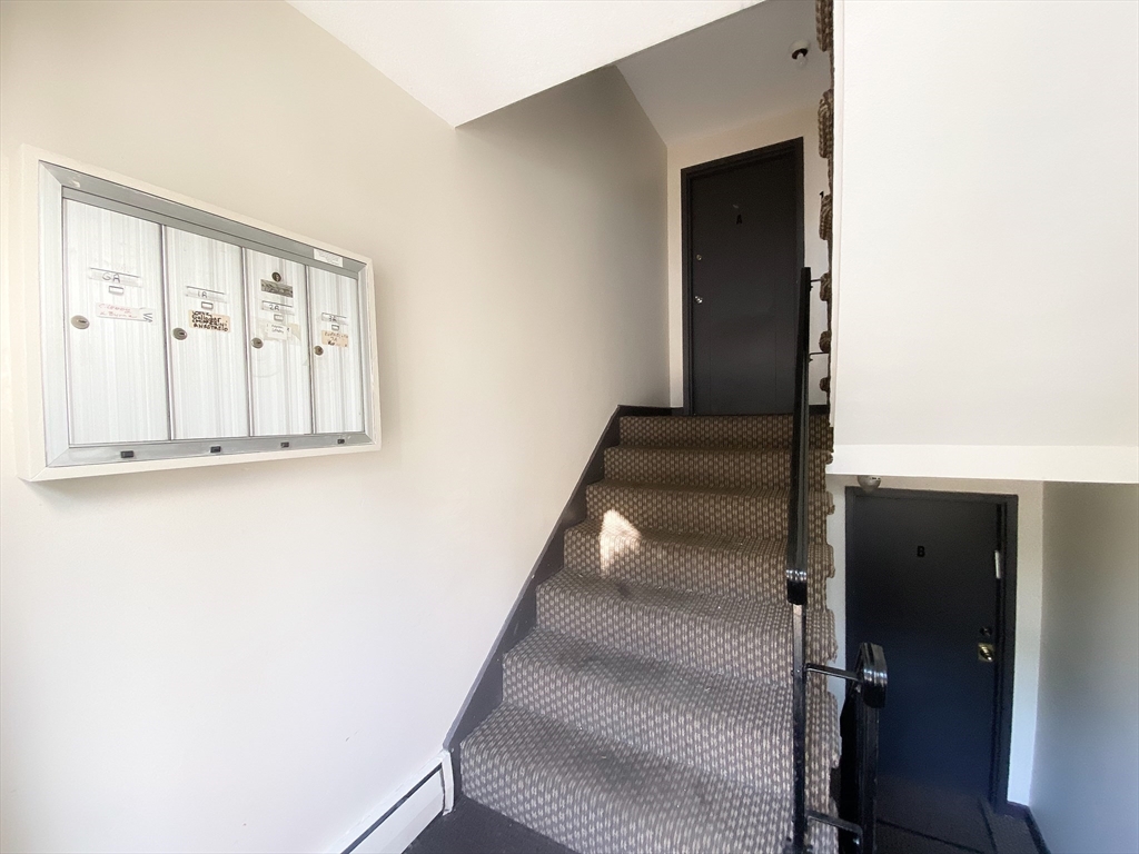 71 Colborne Road, Unit 3A Boston, MA 02135 - Photo 15 of 17