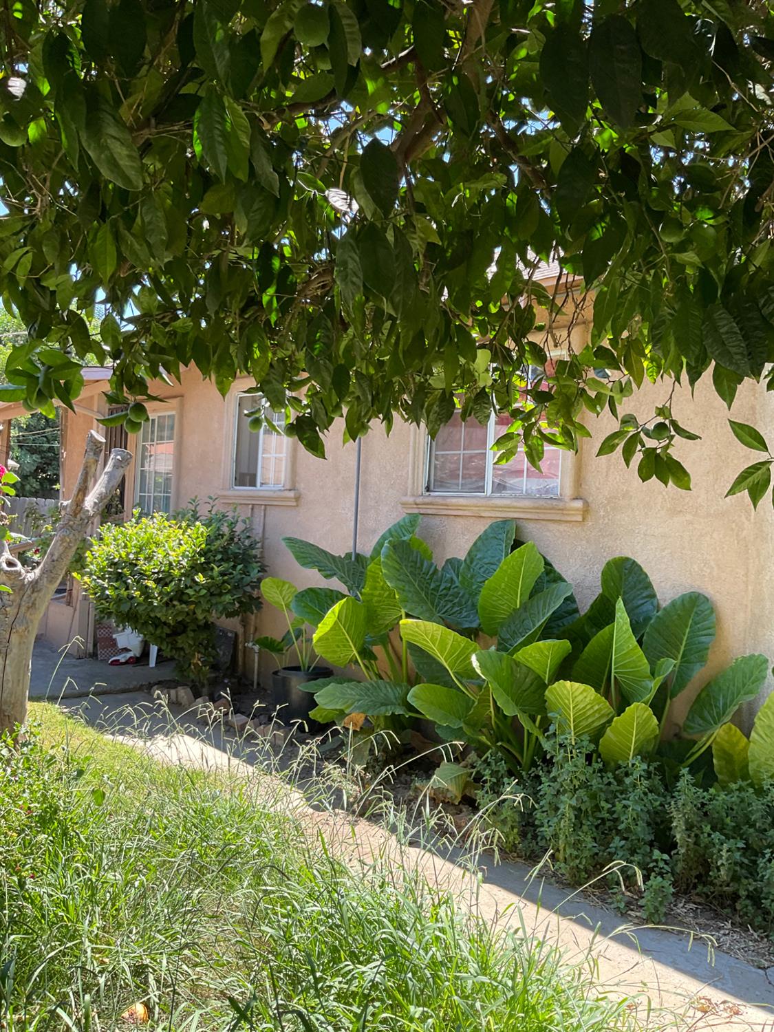 303 Plainsburg Road Planada, CA 95365 - Photo 35 of 74 Gallery Image 35
