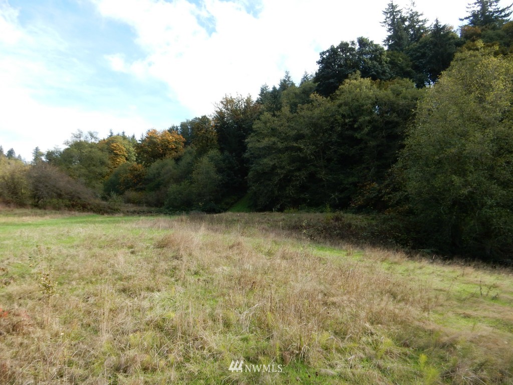 321 Sauvola Road Kalama, WA 98625 - Photo 2 of 8 Gallery Image 2