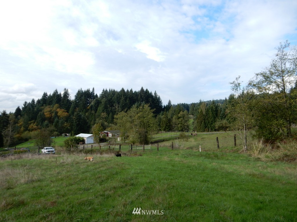 321 Sauvola Road Kalama, WA 98625 - Photo 5 of 8 Gallery Image 5