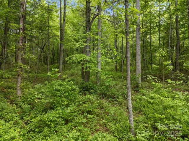 $185,000 | 0 Red Fox Lane, Unit 17, Flat Rock, NC 28731