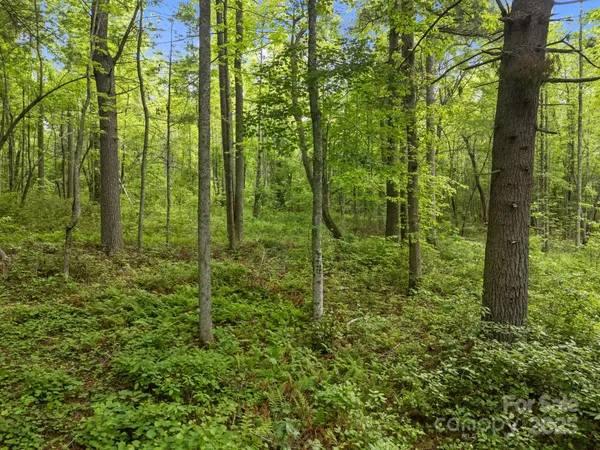 a view of outdoor space and green space