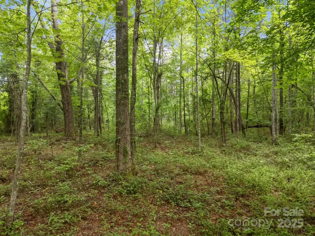 $185,000 | 0 Red Fox Lane, Unit 17, Flat Rock, NC 28731