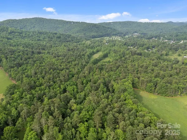 a view of a lush green forest with mountains in the background