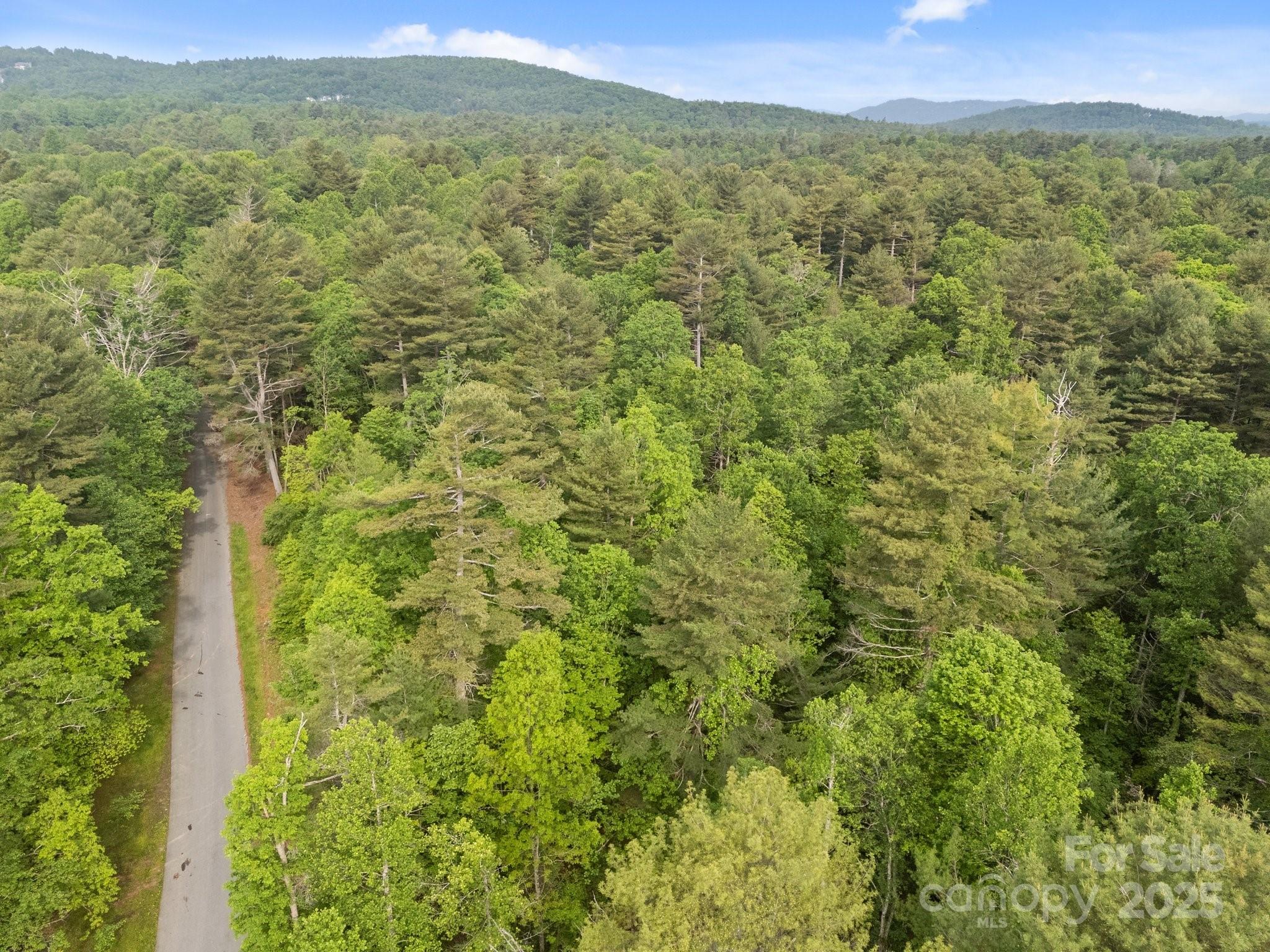 0 Red Fox Lane, Unit 17 Flat Rock, NC 28731 - Photo 8 of 24 a view of a green field with lots of bushes