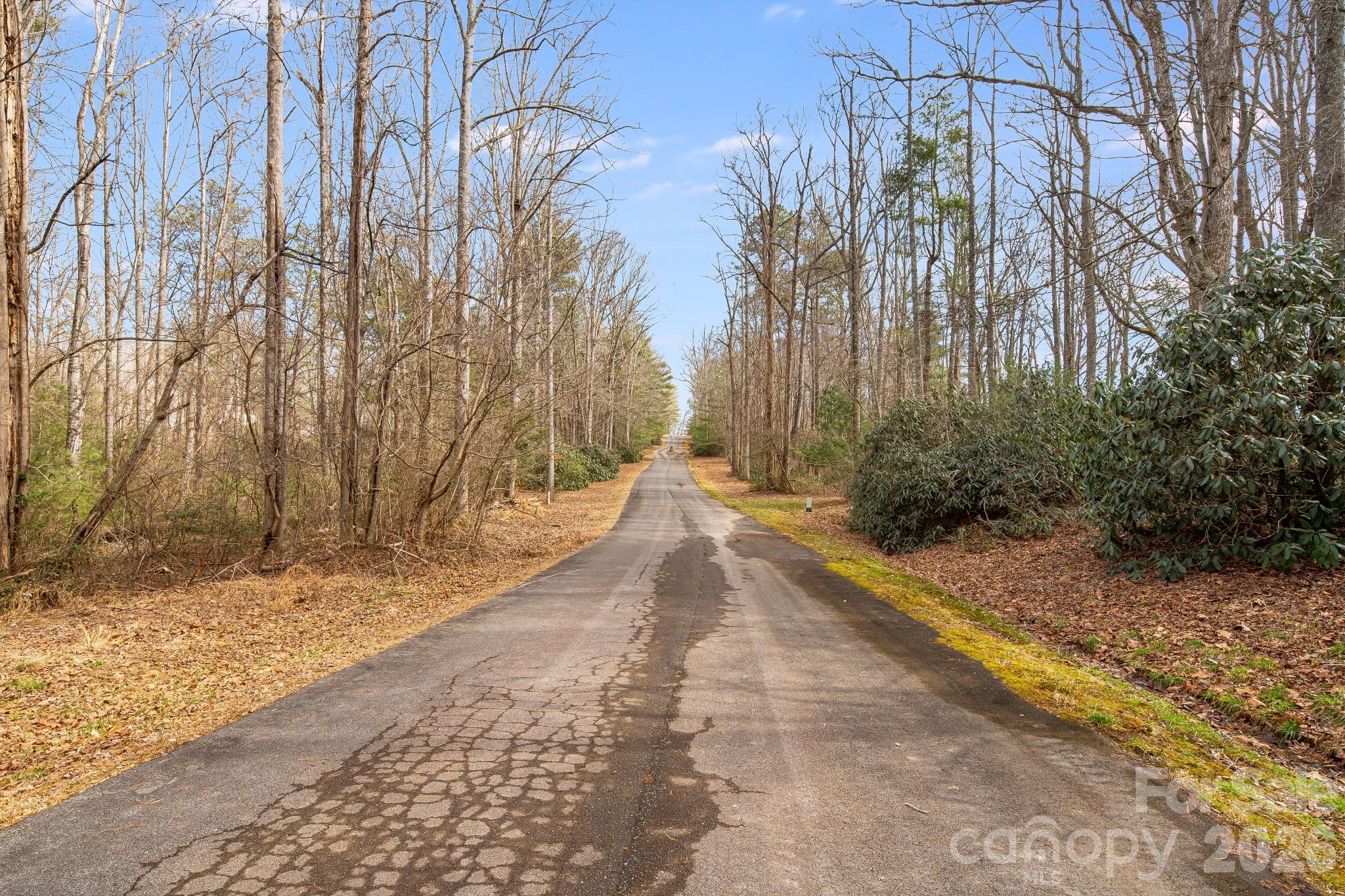 0 Old Haywood Road Mills River, NC 28759 - Photo 1 of 16 a view of backyard