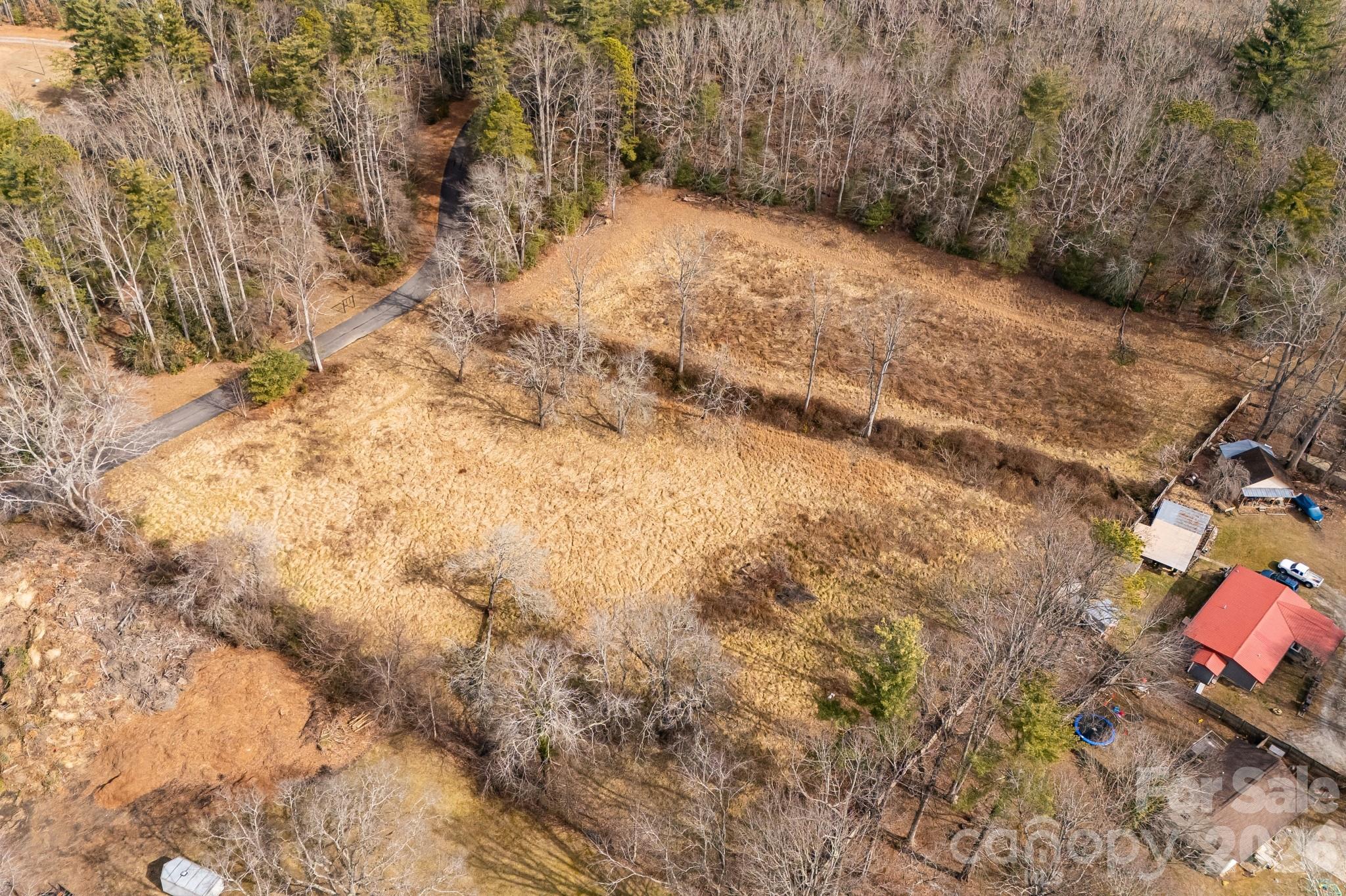 0 Old Haywood Road Mills River, NC 28759 - Photo 11 of 16 a view of a yard with a tree