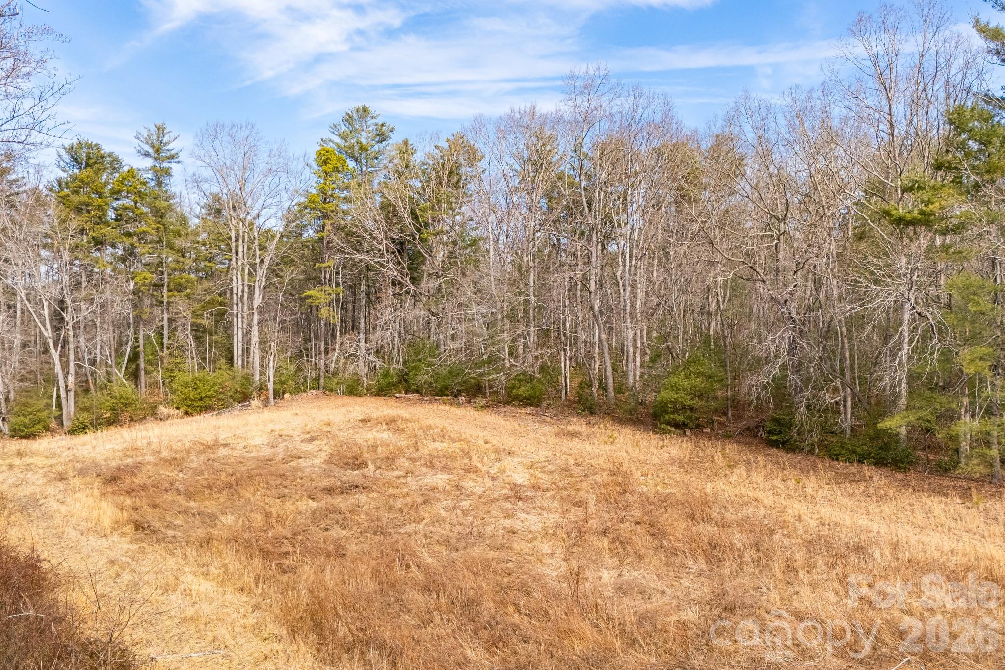 0 Old Haywood Road Mills River, NC 28759 - Photo 12 of 16 a view of a yard with a tree