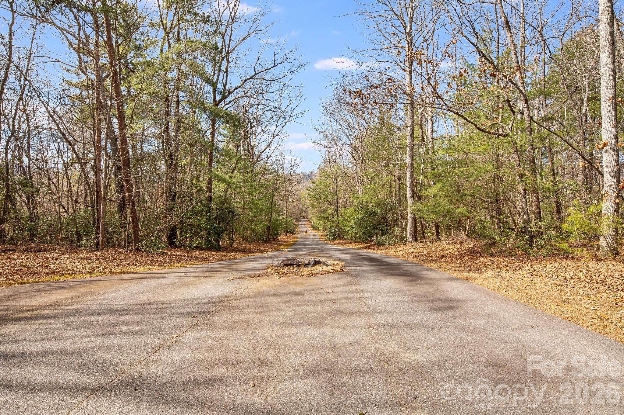 0 Old Haywood Road Mills River, NC 28759 - Photo 13 of 16 a view of a yard with a trees
