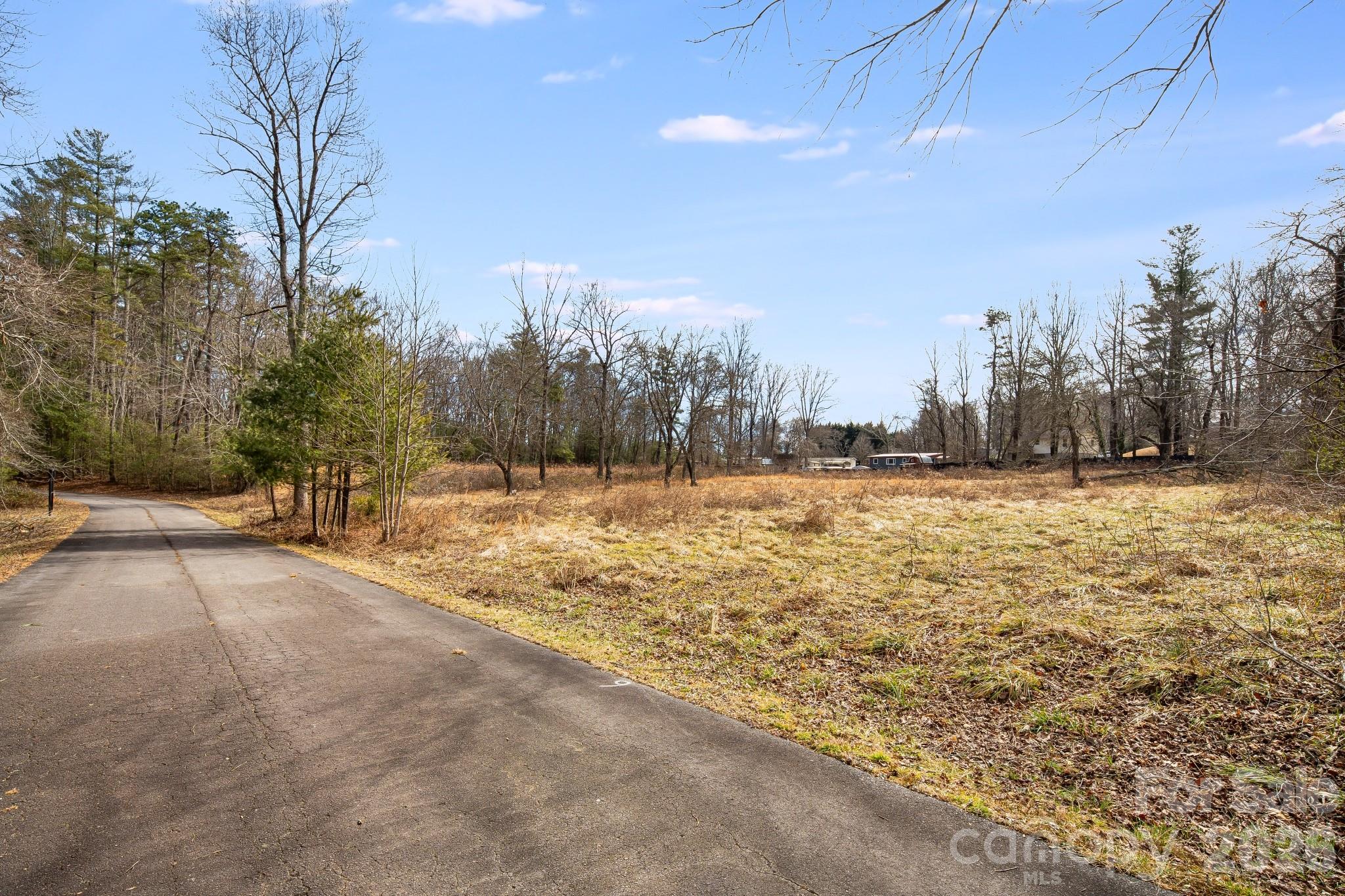 0 Old Haywood Road Mills River, NC 28759 - Photo 14 of 16