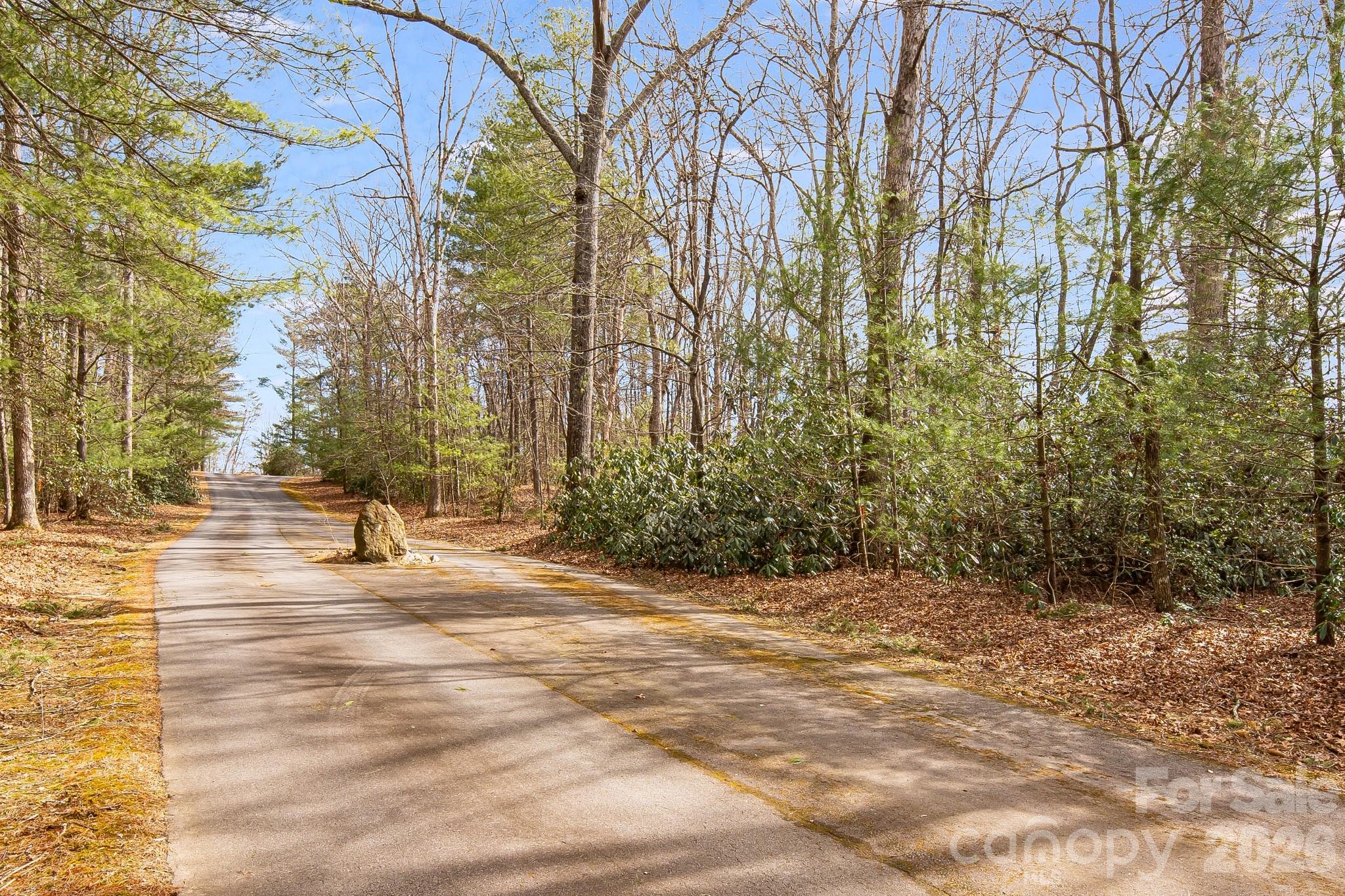 0 Old Haywood Road Mills River, NC 28759 - Photo 15 of 16 a view of a yard with trees
