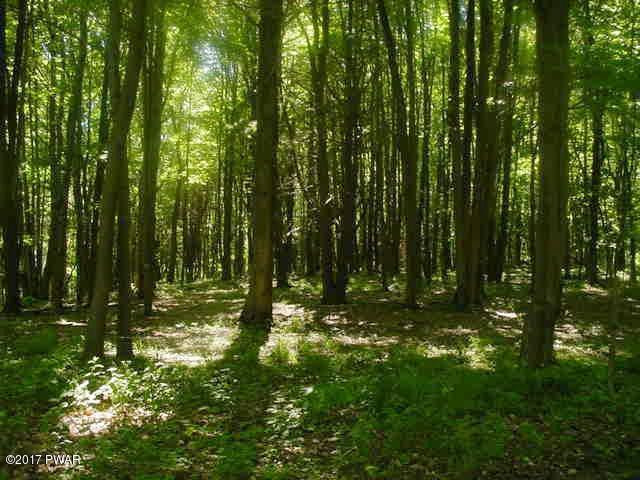Dryden Road Walton, NY 13856 - Photo 14 of 33