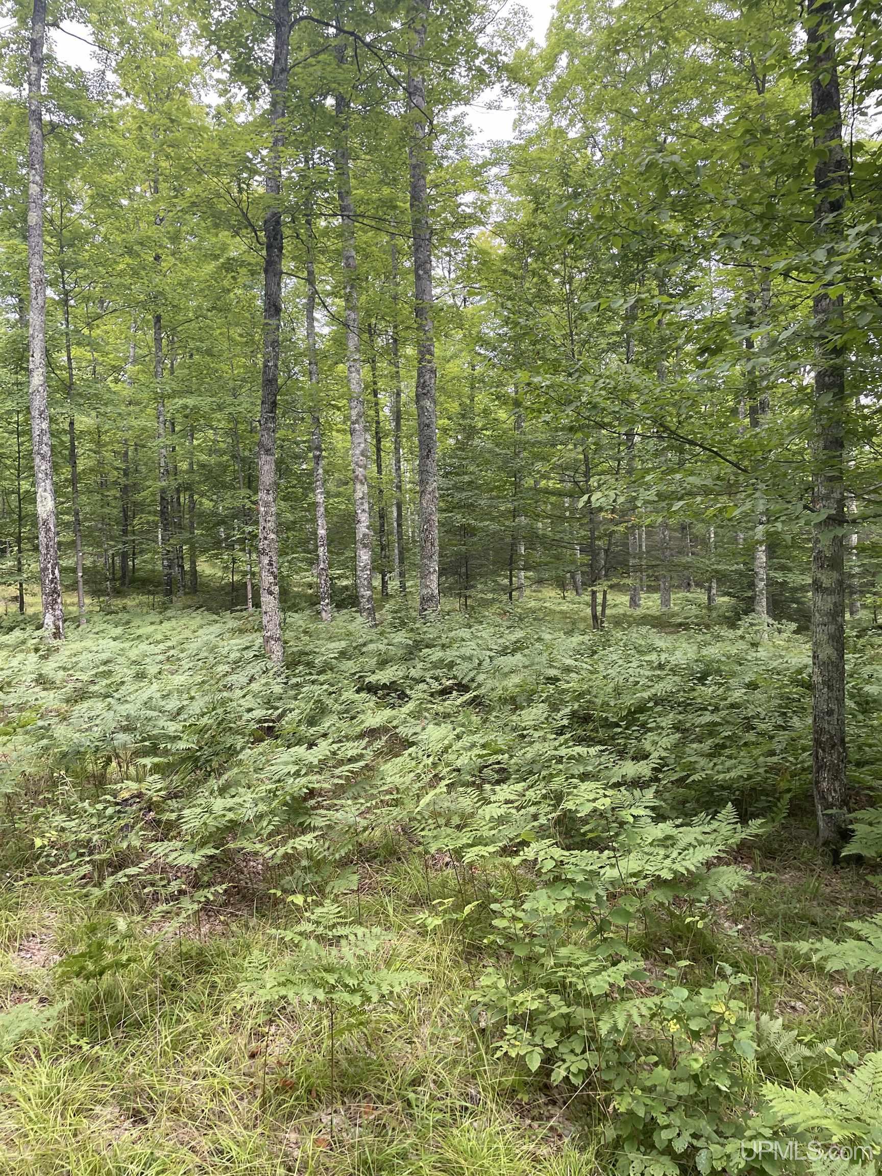 Tbd Tbd County Road, Unit 1 Cornell, MI 49818 - Photo 27 of 41