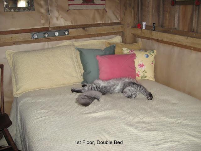 75 Sterling Cove Road Monhegan, ME 04852 - Photo 11 of 18 First floor bedroom, cat not included...