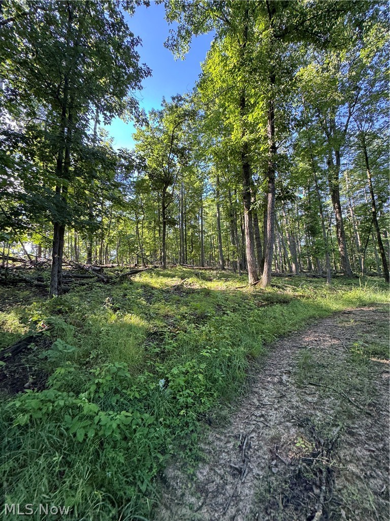 Stone Quarry Road Danville, OH 43014 - Photo 13 of 50
