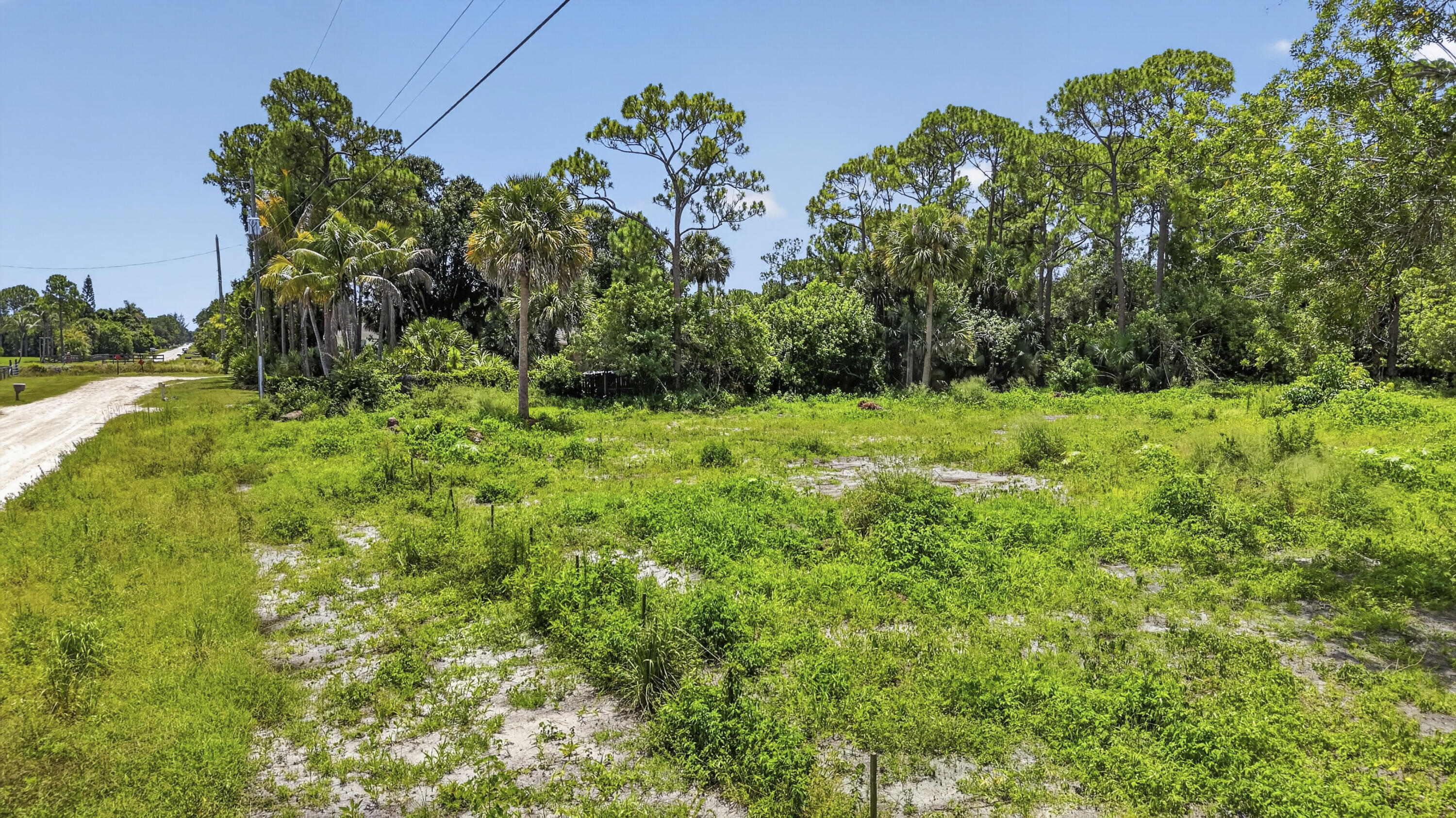 17072 93rd Road North The Acreage, FL 33470 - Photo 21 of 22 DJI_20260713124836_0691_D
