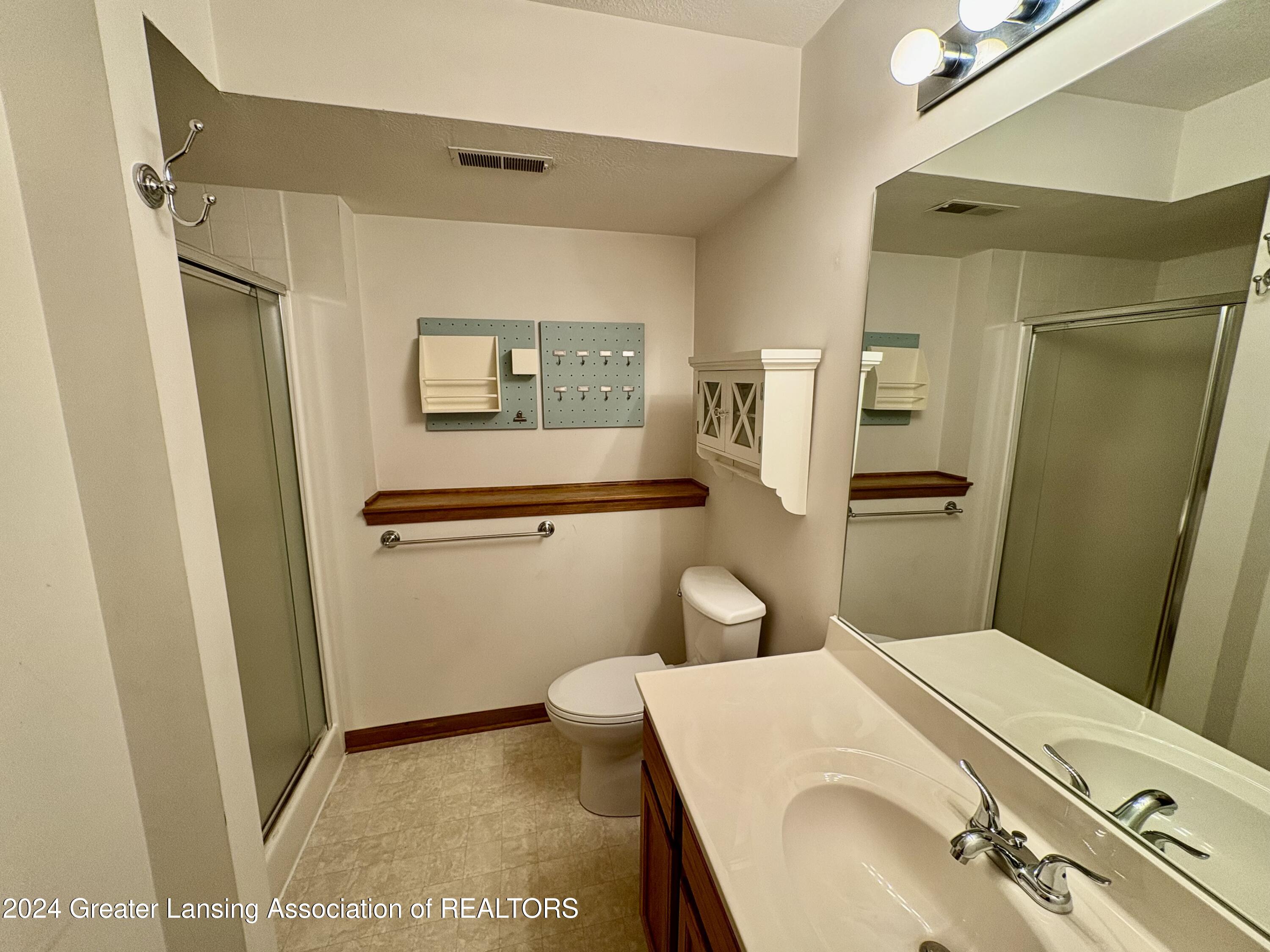 13872 Mead Creek Road Bath, MI 48808 - Photo 20 of 32 Garden level bath