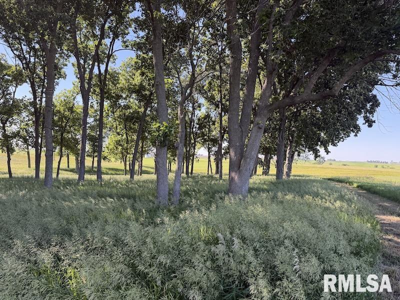 596 East 2250th Road Westfield, IL 62474 - Photo 24 of 61