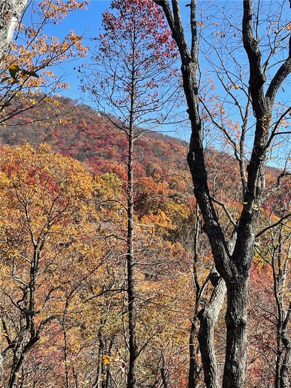 160 Wood Poppy View Big Canoe, GA 30143 - Photo 58 of 94
