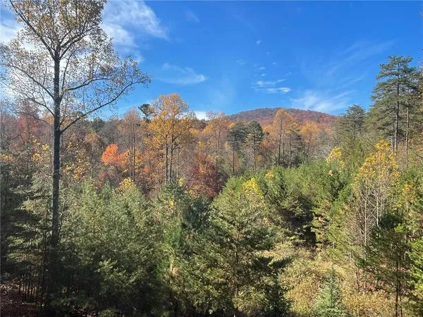 $1,500,000 | 160 Wood Poppy View, Big Canoe, GA 30143