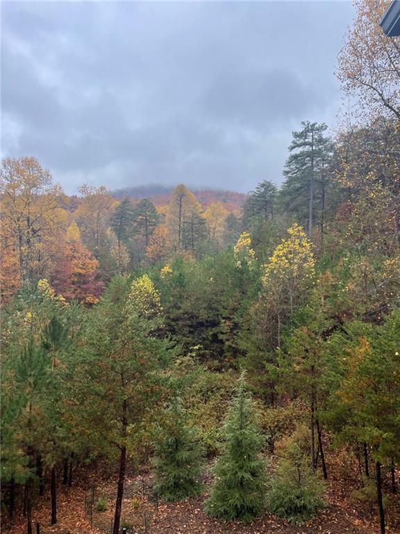 160 Wood Poppy View Big Canoe, GA 30143 - Photo 60 of 94