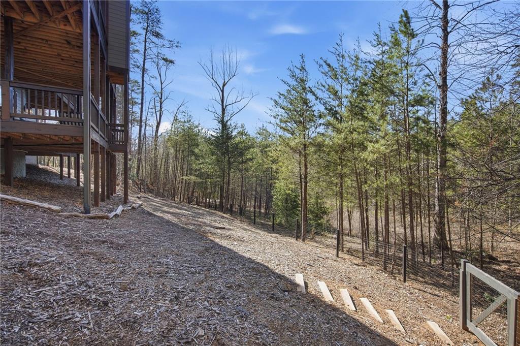 160 Wood Poppy View Big Canoe, GA 30143 - Photo 61 of 94