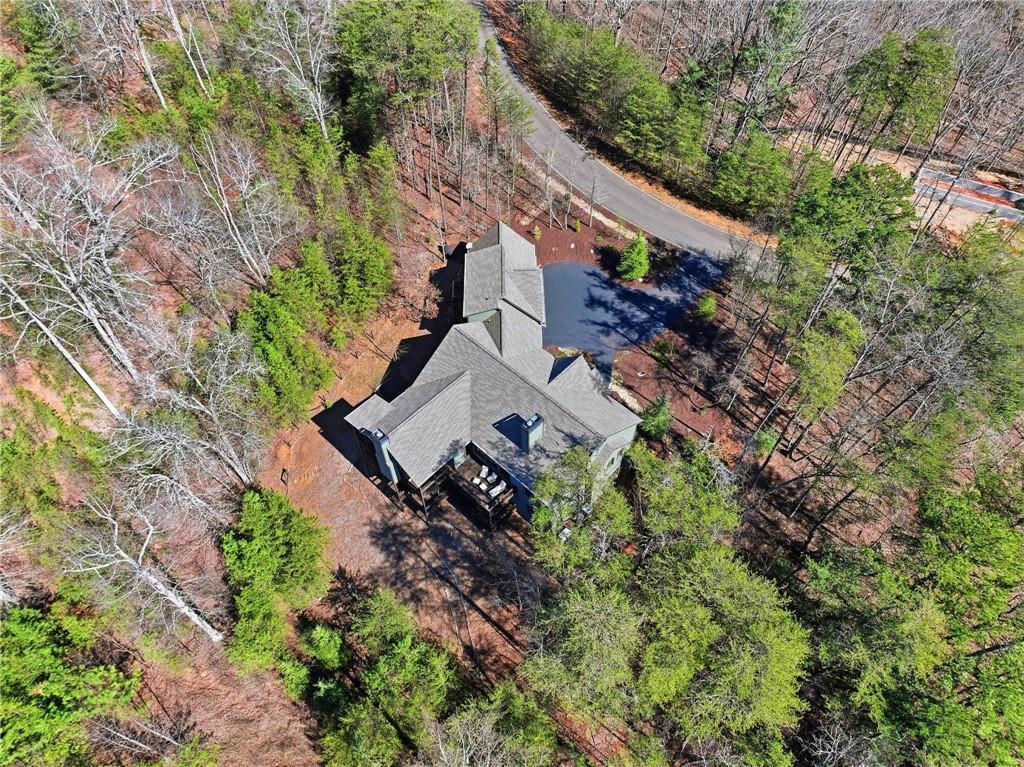 160 Wood Poppy View Big Canoe, GA 30143 - Photo 66 of 94