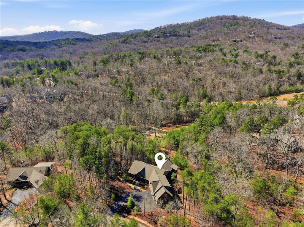 160 Wood Poppy View Big Canoe, GA 30143 - Photo 69 of 94