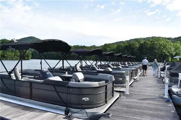 $1,500,000 | 160 Wood Poppy View, Big Canoe, GA 30143