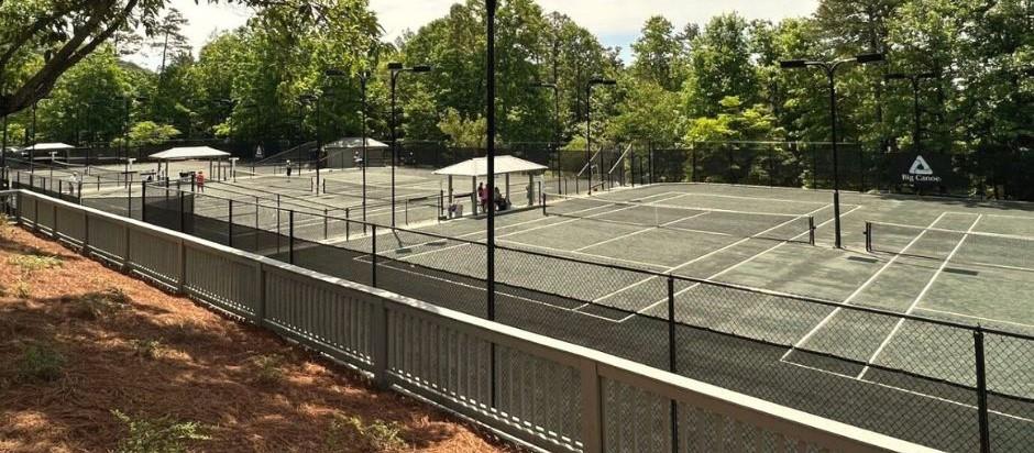 160 Wood Poppy View Big Canoe, GA 30143 - Photo 93 of 94 a view of a tennis court with lots of trees in the background