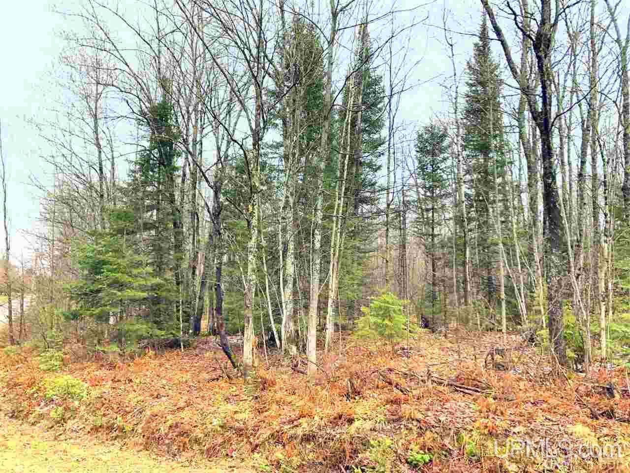 Tbd Tbd Corner Road Negaunee, MI 49866 - Photo 6 of 8