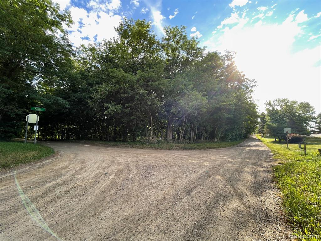 0 Wales Road Romeo, MI 48065 - Photo 4 of 11 Gallery Image 4