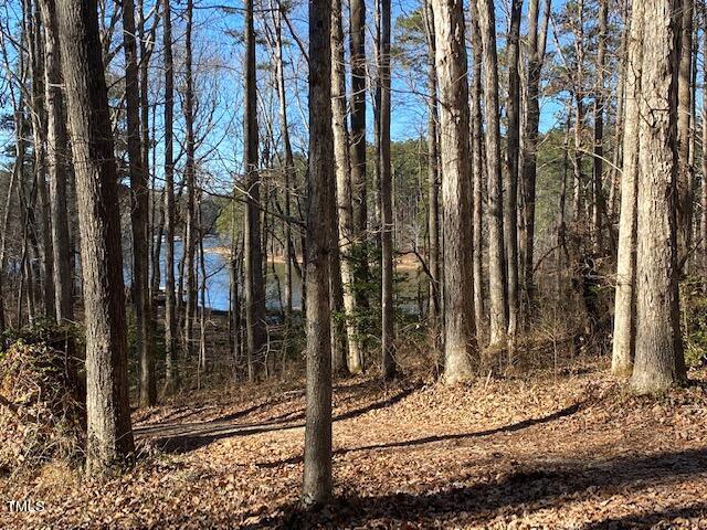 2897 Jacksontown Road Manson, NC 27553 - Photo 2 of 5 a view of a backyard of the house