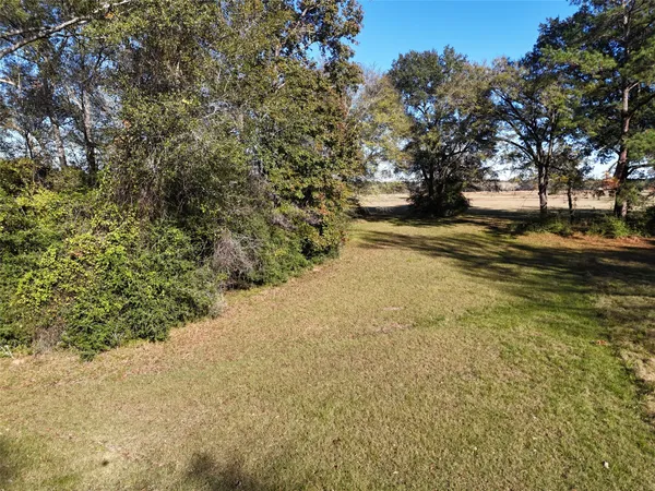 a view of yard with trees