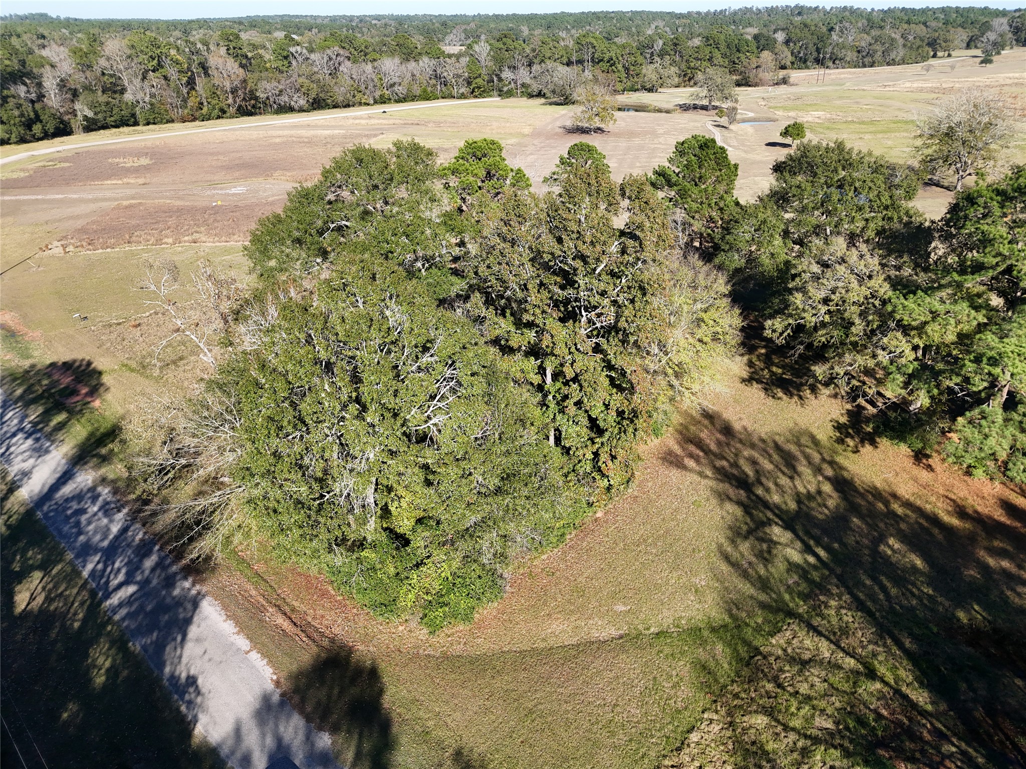 Tbd Charleston Street Trinity, TX 75862 - Photo 5 of 10 a view of a lake with outdoor space