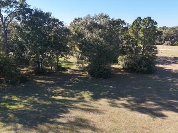 a view of road and trees