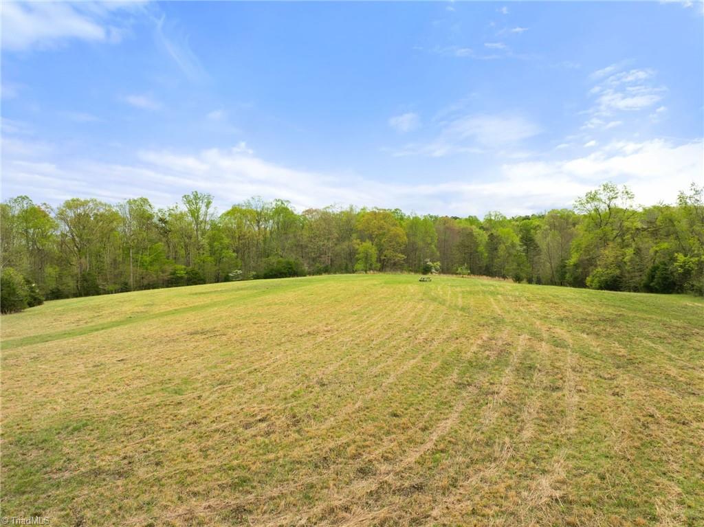 0 Dalton Road Lewisville, NC 27023 - Photo 3 of 6