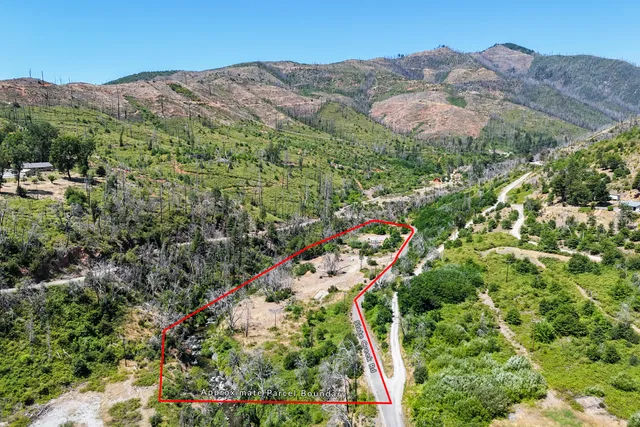 a view of a lush green field with lots of bushes