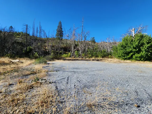a view of a dry yard with trees