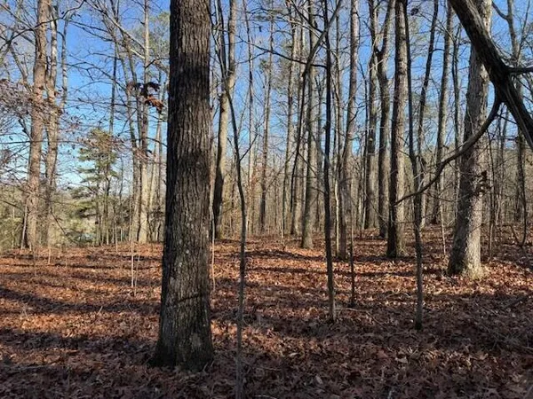 $54,540 | Lot 7 County Road 751, Unit LOT 7, Valley Head, AL 35989